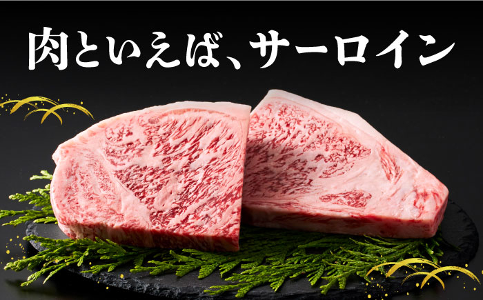 A5ランク 佐賀牛 牛肉 サーロイン ステーキ A5 佐賀牛 a5 2枚 和牛 黒毛和牛 小分け 冷凍 定期 12回 12ヶ月