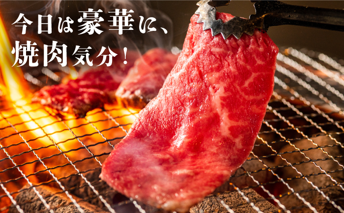 佐賀牛 がばいフーズのおすすめセット＜コウネ・ロース・カルビ＞ 1kg 佐賀牛 A5  A4 焼肉 カレー