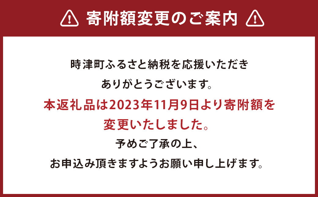 【12ヶ月定期便】長崎県産 本マグロ赤身 500g 