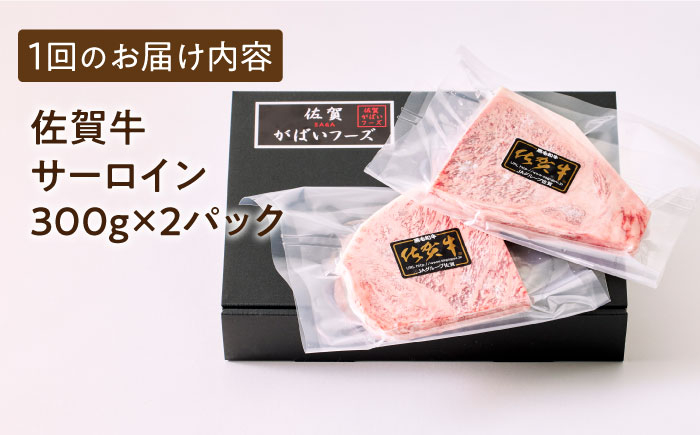 A5ランク 佐賀牛 牛肉 サーロイン ステーキ A5 佐賀牛 a5 2枚 和牛 黒毛和牛 小分け 冷凍 定期 12回 12ヶ月