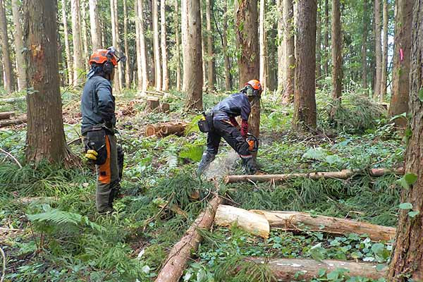 山を守り育て、後世に伝えながら、地域貢献を実現できるよう、役職員・現場一同、頑張っています。
