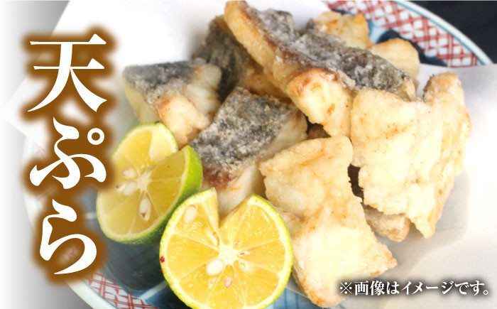 天然くえ 高級魚 アラ 魚 新鮮 下処理 クエ 希少 唐揚げ 鍋 白身 切り身 海鮮鍋 くえ鍋 クエ鍋 冷凍 海鮮 魚介 