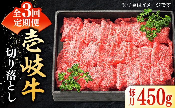 ステーキ 人気 和牛  壱岐牛 希少 柔らかい やわらかい 贈り物   肉 黒毛