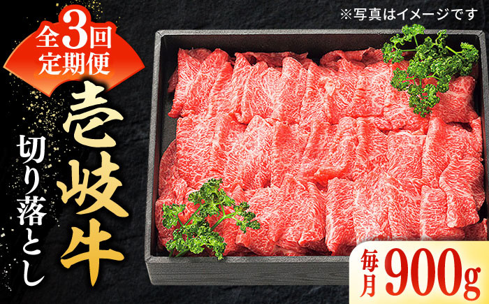 ステーキ 人気 和牛  壱岐牛 希少 柔らかい やわらかい 贈り物   肉 黒毛