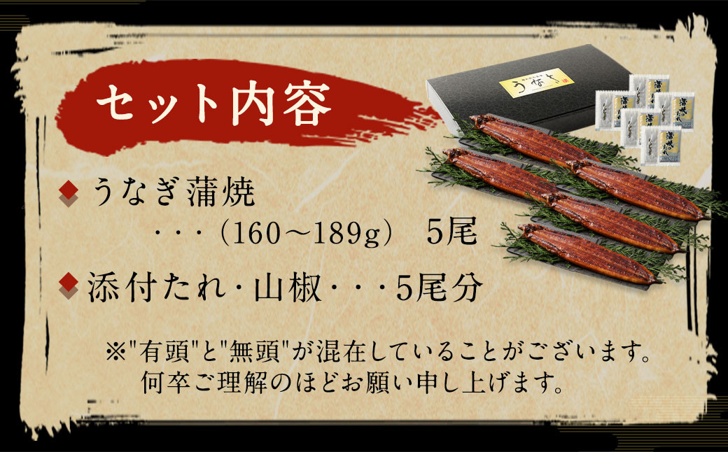 九州産 うなぎ 蒲焼 大 5尾 (1尾あたり160～189g)