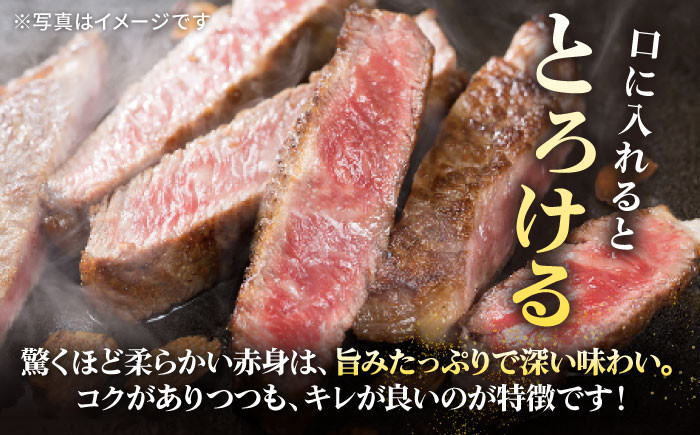ステーキ 人気 和牛  壱岐牛 希少 柔らかい やわらかい 贈り物   肉 黒毛