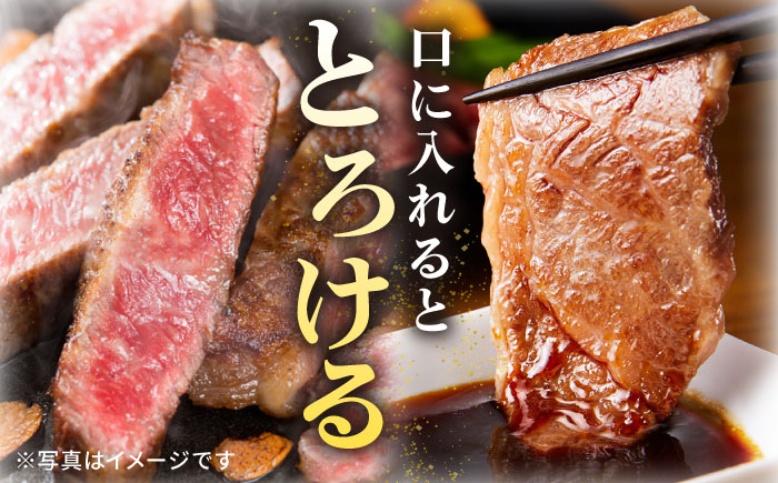 ステーキ 人気 和牛  壱岐牛 希少 柔らかい やわらかい 贈り物   肉 黒毛