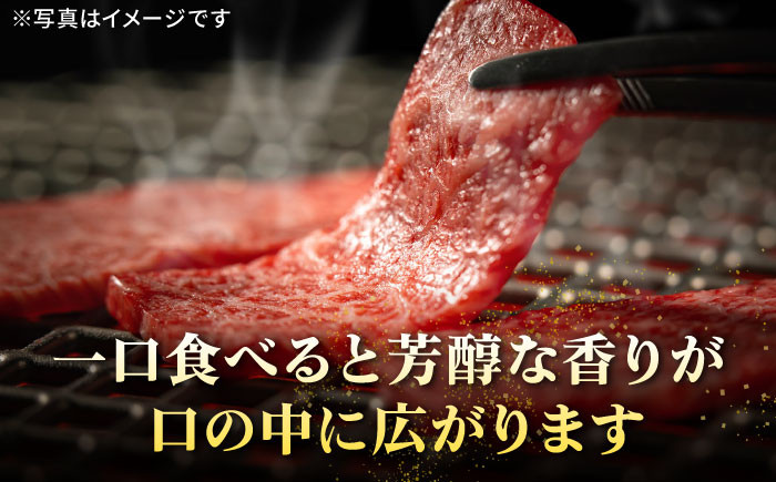 ステーキ 人気 和牛  壱岐牛 希少 柔らかい やわらかい 贈り物   肉 黒毛