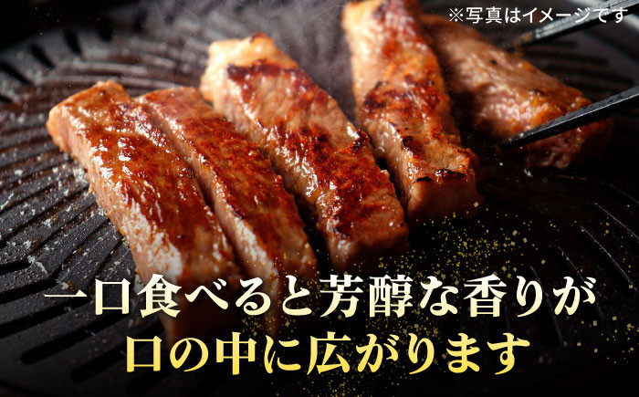 ステーキ 人気 和牛  壱岐牛 希少 柔らかい やわらかい 贈り物   肉 黒毛