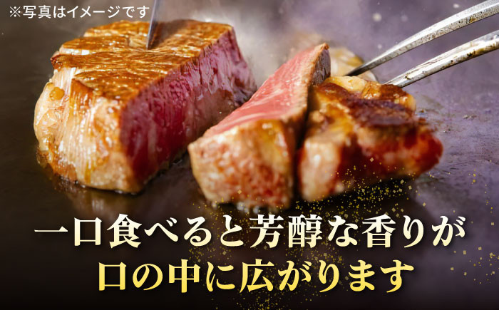 ステーキ 人気 和牛  壱岐牛 希少 柔らかい やわらかい 贈り物   肉 黒毛