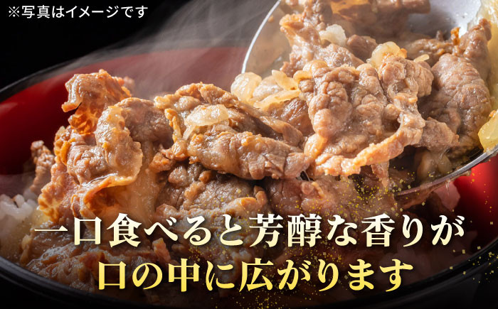 ステーキ 人気 和牛  壱岐牛 希少 柔らかい やわらかい 贈り物   肉 黒毛