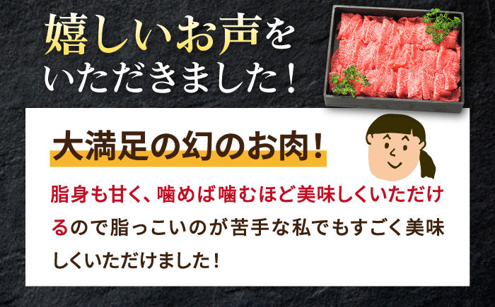 ステーキ 人気 和牛  壱岐牛 希少 柔らかい やわらかい 贈り物   肉 黒毛