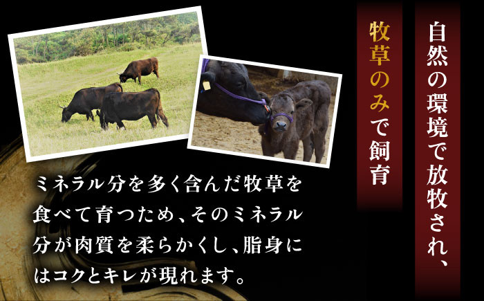 ステーキ 人気 和牛  壱岐牛 希少 柔らかい やわらかい 贈り物   肉 黒毛