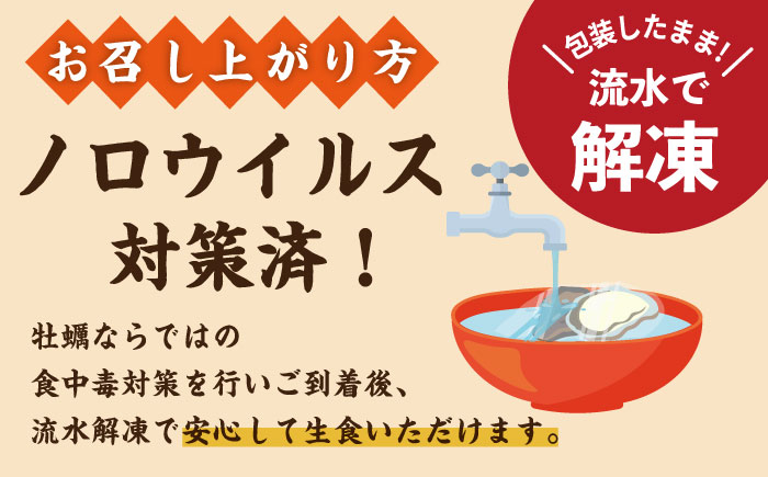 真牡蠣 ハーフシェル むき身 カキフライ 殻付き 生食用 長崎 小分け カキ かき 佐世保