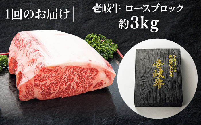 ステーキ 人気 和牛  壱岐牛 希少 柔らかい やわらかい 贈り物   肉 黒毛