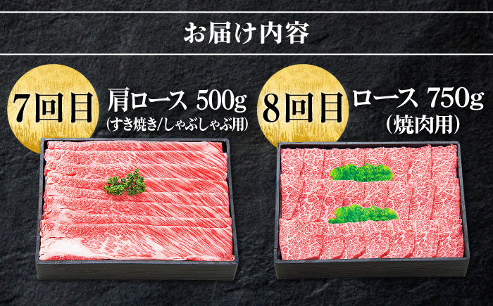 ステーキ 人気 和牛  壱岐牛 希少 柔らかい やわらかい 贈り物   肉 黒毛