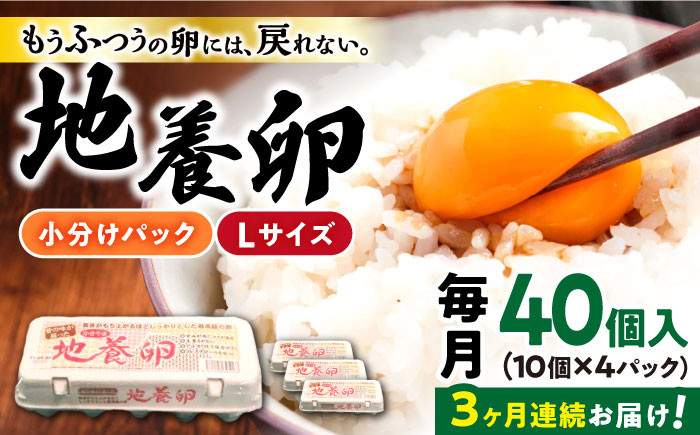 卵 たまご 高級卵 赤玉