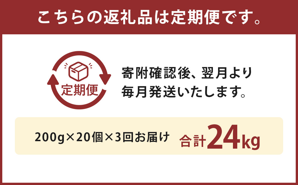 【3ヶ月定期便】黒樺牛ビーフカレー200g×20パック