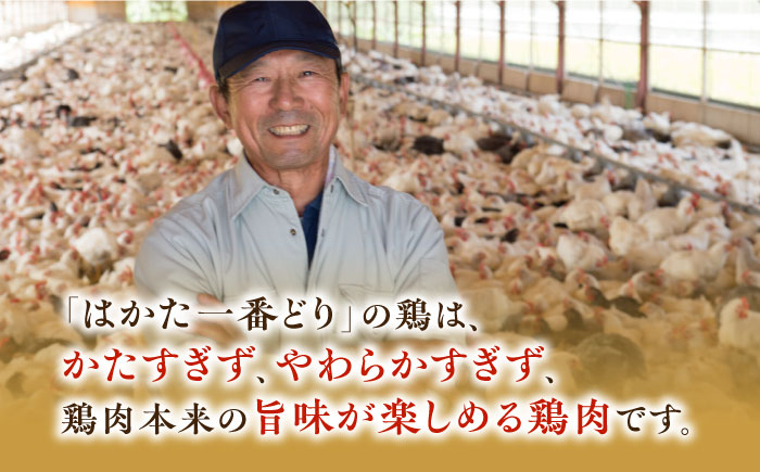 博多名物「水炊き」の本場の味をお届けします。