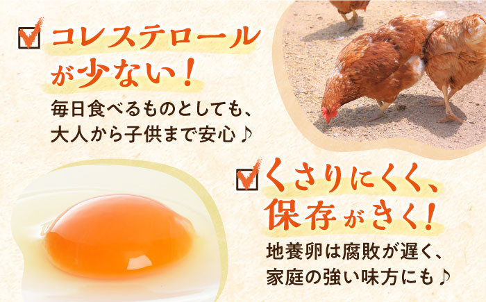 卵 たまご Lサイズ 40個入り