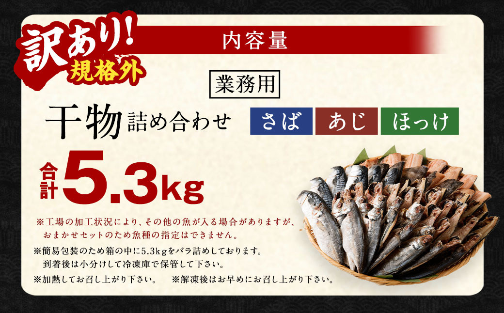 【訳あり規格外】  業務用 干物 詰め合わせ 5.3kg