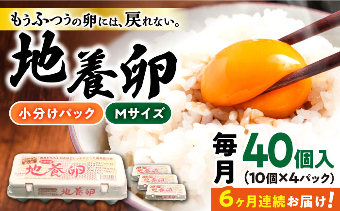 卵 たまご 高級卵 赤玉