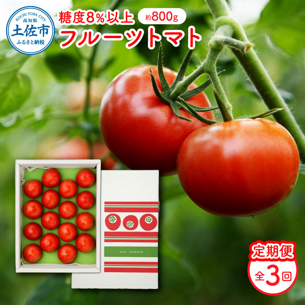 フルーツトマト(約800グラム) 12~20玉入り