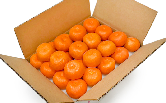 みかん ミカン 高島屋