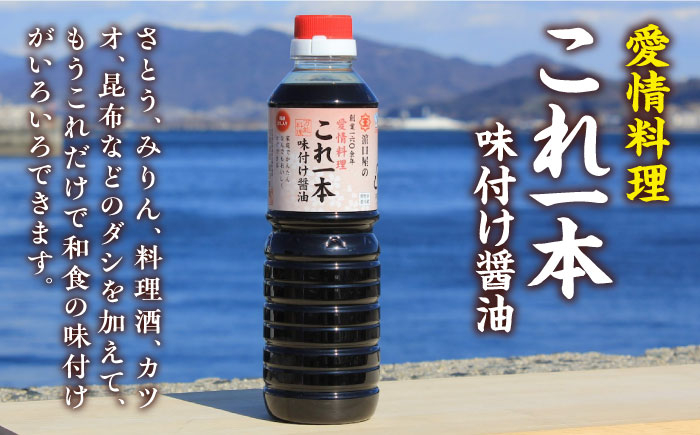 忙しいあなたに！これ1本で美味しい味付け！濱口醤油のこれ1本味付け醤油 500mL×5本 料理 しょうゆ しょう油