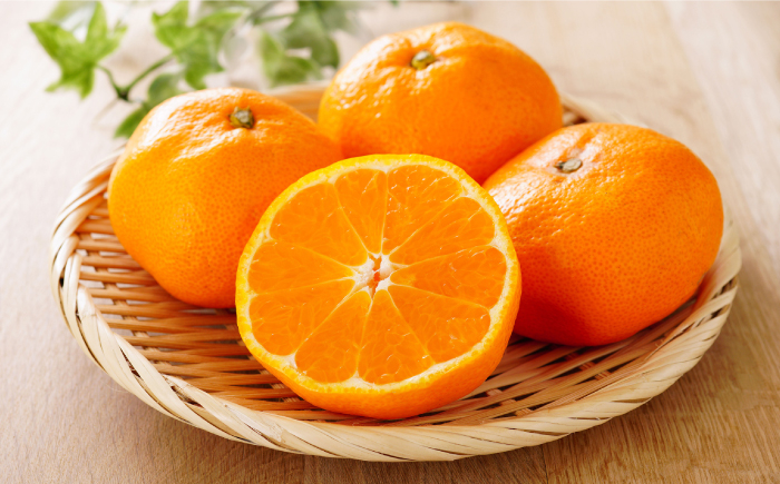 みかん ミカン 高島屋