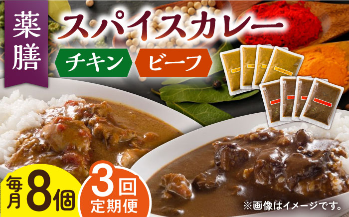 【3回定期便】薬膳スパイスカレー ファミリーセット（チキンカレー 4食 ビーフカレー 4食） /自然庵 [UCQ010] カレー