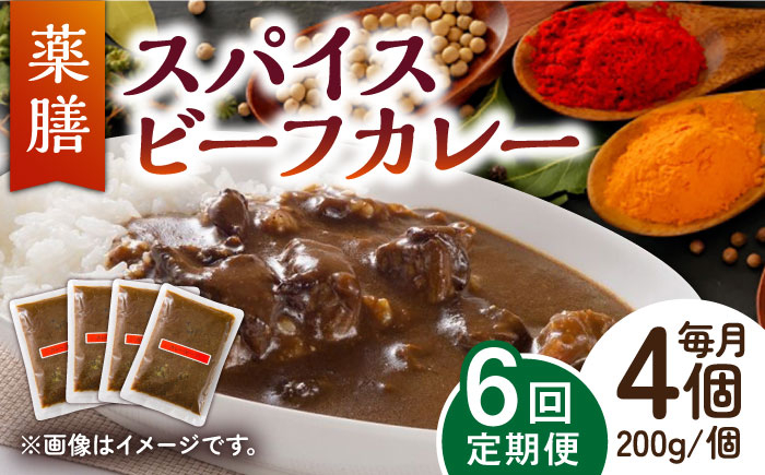 【6回定期便】薬膳スパイスビーフカレー 4食（200g×4） /自然庵 [UCQ008] カレー レトルトカレー 牛肉 牛 ビー