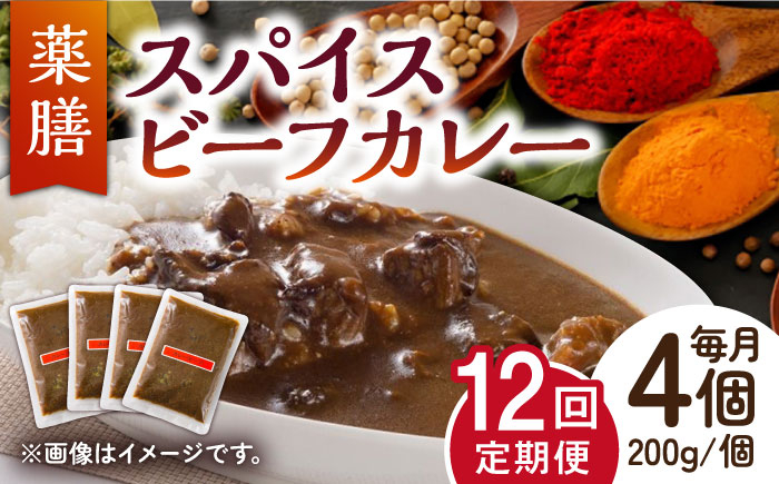 【12回定期便】薬膳スパイスビーフカレー 4食（200g×4） /自然庵 [UCQ009] カレー レトルトカレー 牛肉 牛 ビ
