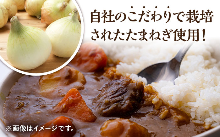 【3回定期便】薬膳スパイスビーフカレー 4食（200g×4） /自然庵 [UCQ007] カレー レトルトカレー 牛肉 牛 ビー