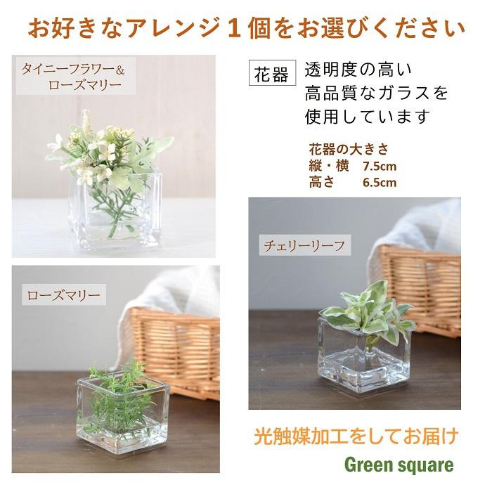 【ローズマリー】 マジカルウォーター 単品1個 ｢ グリーンスクエア ｣