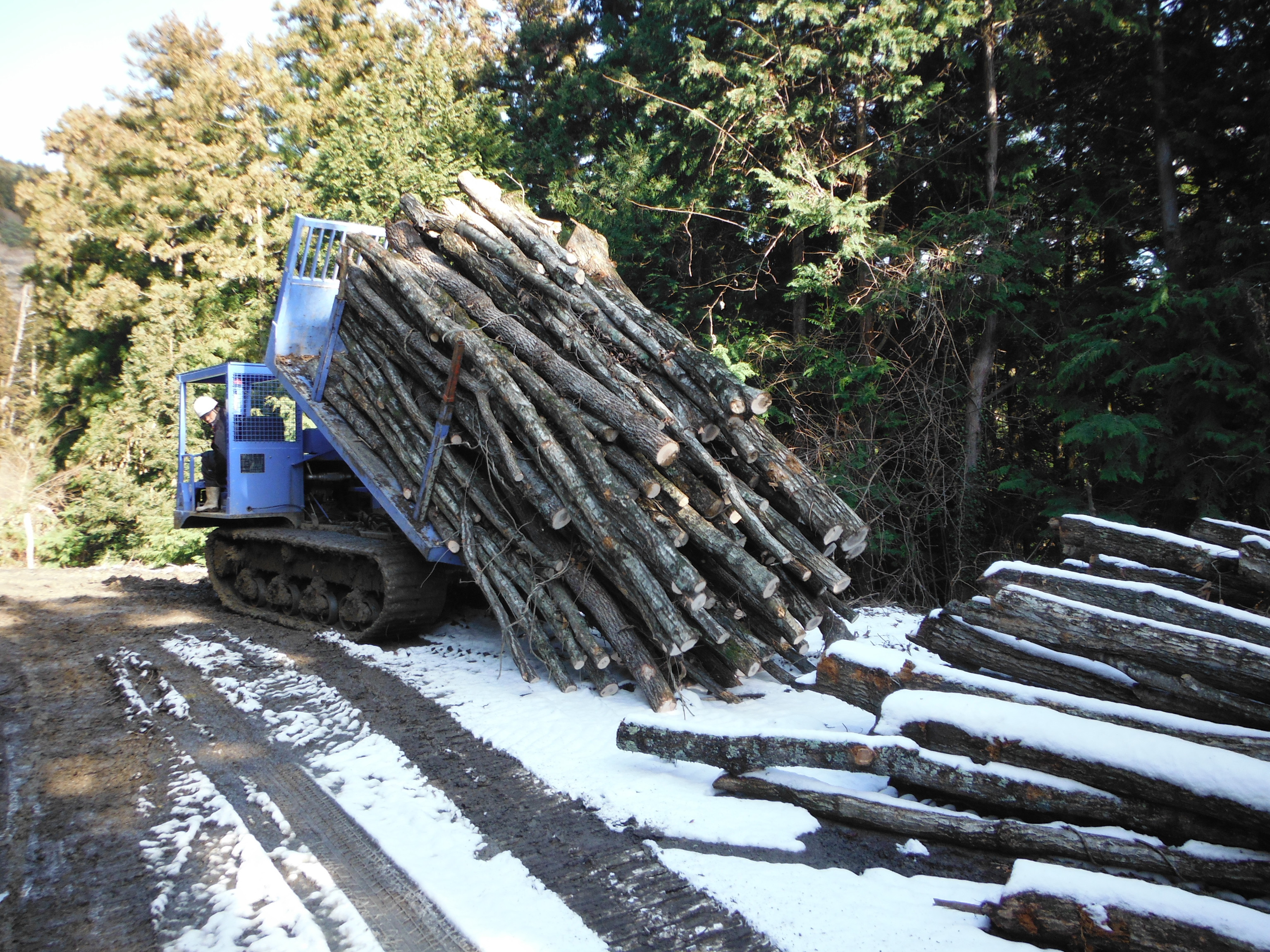 内子町産クヌギ・ナラ使用『薪』 約15kg 長さ約35cm 薪割り アウトドア キャンプ キャンプ用品 焚き火(305)