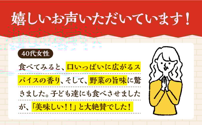 【12回定期便】薬膳スパイスビーフカレー 4食（200g×4） /自然庵 [UCQ009] カレー レトルトカレー 牛肉 牛 ビ