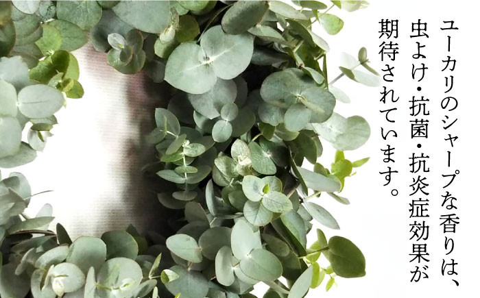 ご家庭に癒しの空間を！