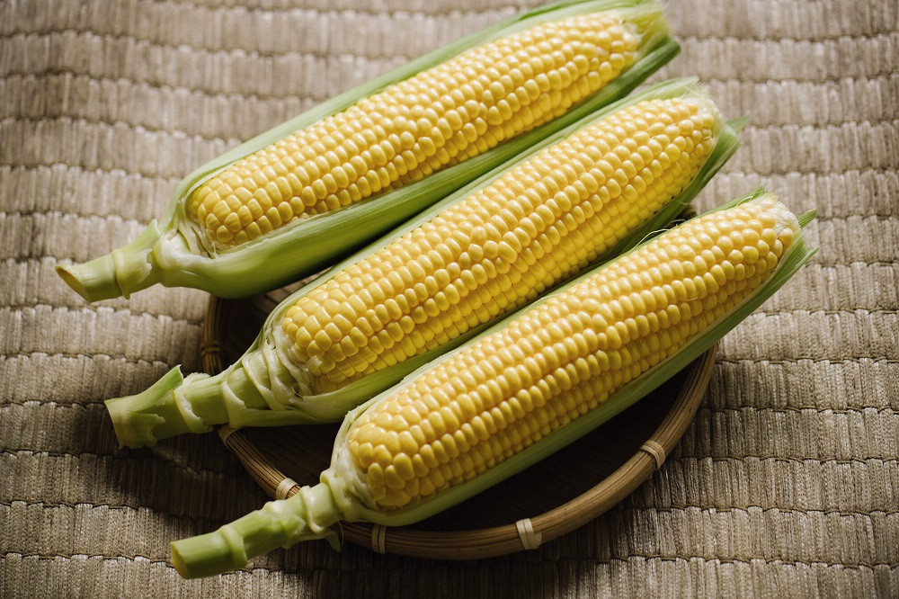 フルーツ並みの糖度の高さが自慢の品種です。