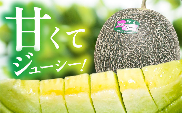 メロン 2玉 くだもの ブランド 人気 鮮度 高級 甘い 大きい 産地直送 おすすめ 高評価 リピーター 新鮮 熊本 山鹿市