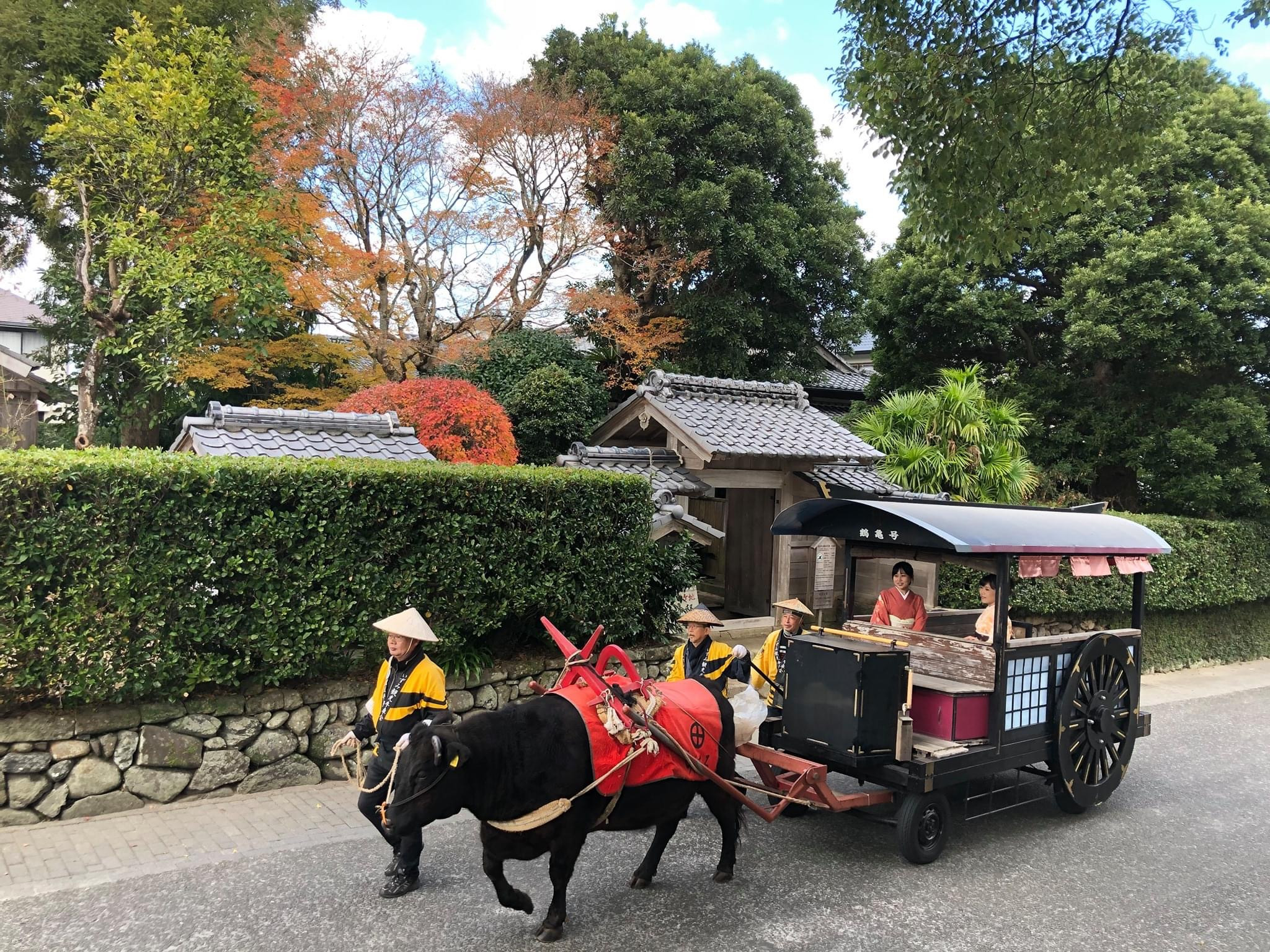 【5-3　特定非営利活動法人　いずみ観光牛車会】
日本で唯一の観光牛車，鶴と歴史の街出水をご案内