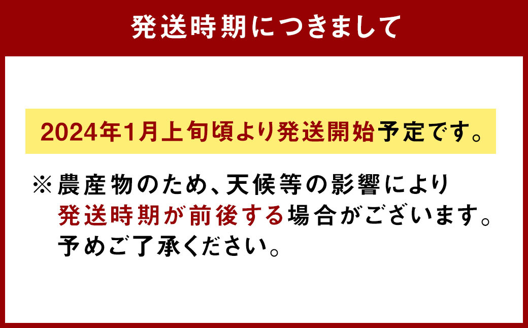 こだわりの 冷凍 博多あまおう 食べ比べ セット 1kg 500g×2種