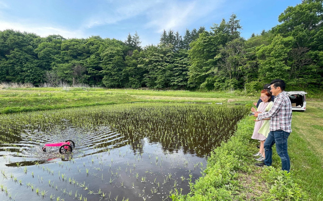除草剤を使わず、ミズニゴールで除草しました