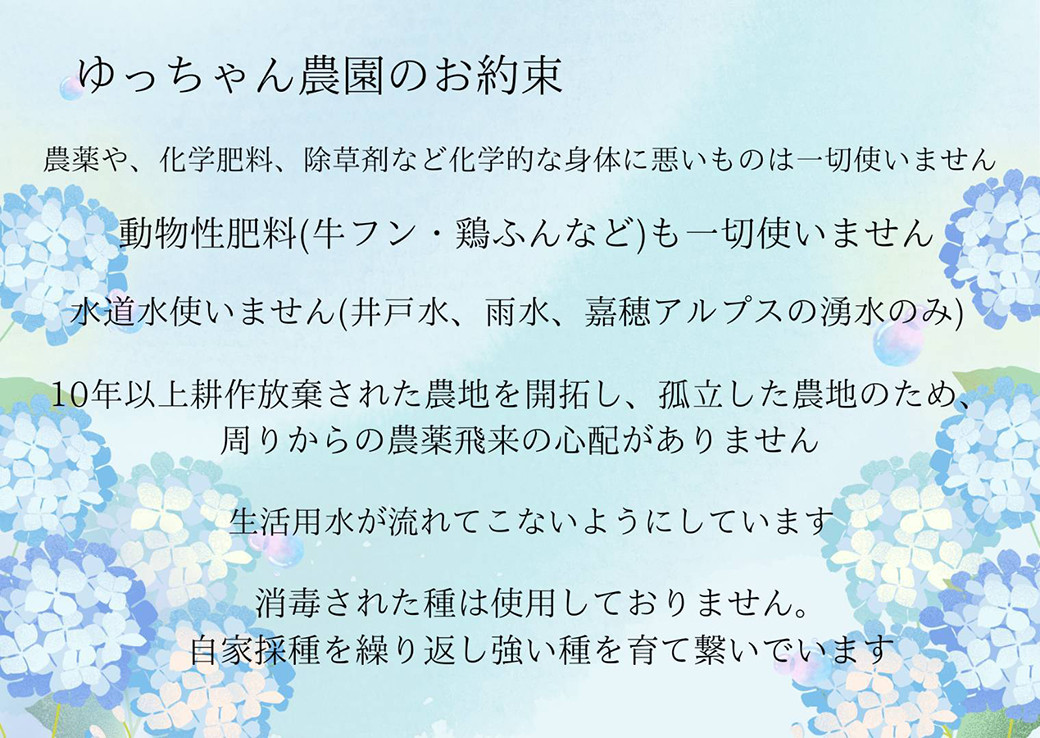 四季を楽しむ 嘉穂アルプスの宝石 ジュエリーピクルス 3種食べ比べ 約220g×3瓶 計660g