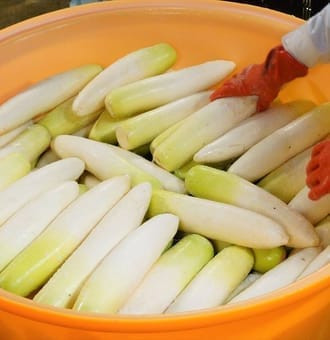 漬け込みも手作業で丁寧に、まさに手塩にかけたお漬物です。