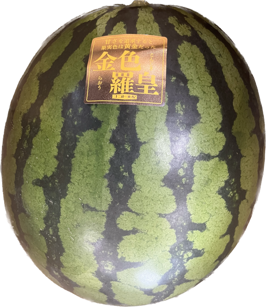 金色羅皇 1玉入り(8kg以上)	