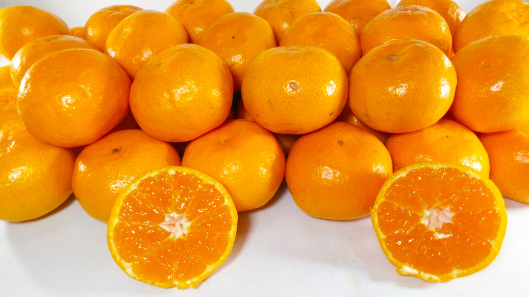 熊本県産　みかん　【手選別まごころ選果】約3kg　サイズ2L～S