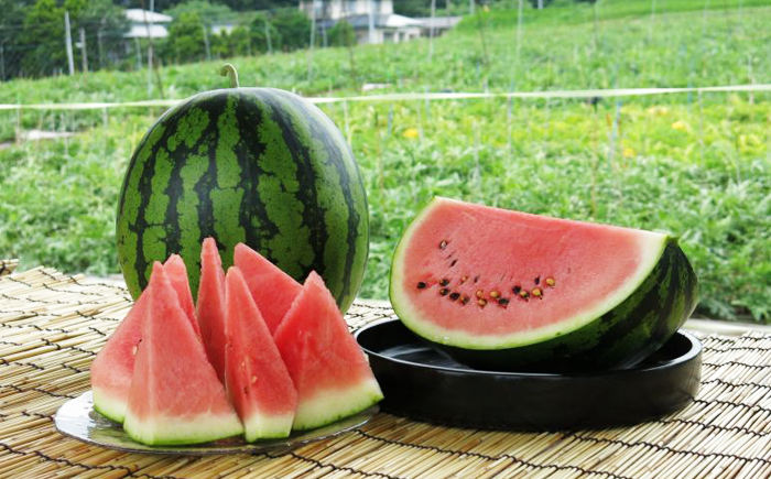 夏の風物詩、どうぞご賞味ください