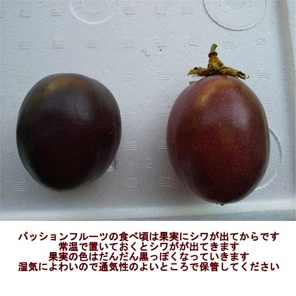 清田さんのパッションフルーツ 約1kg(9～15玉)