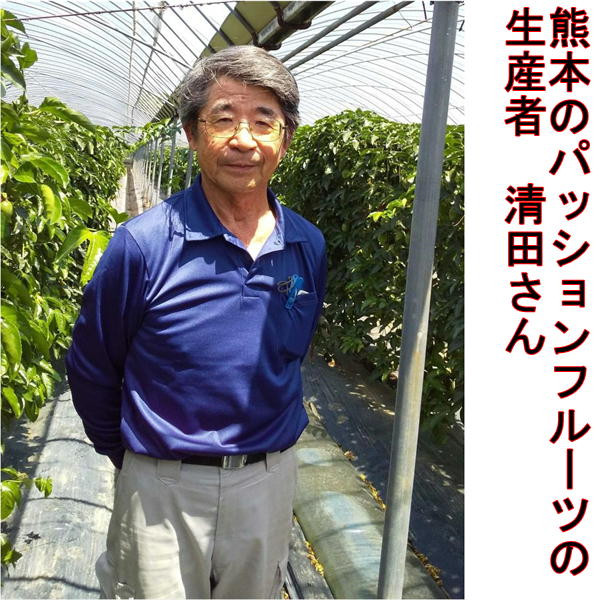 清田さんのパッションフルーツ 約1kg(9～15玉)
